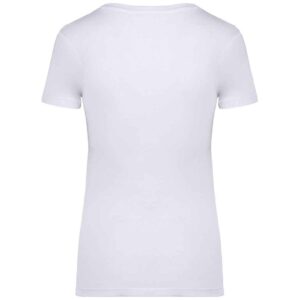Native Spirit Ladies T-Shirt