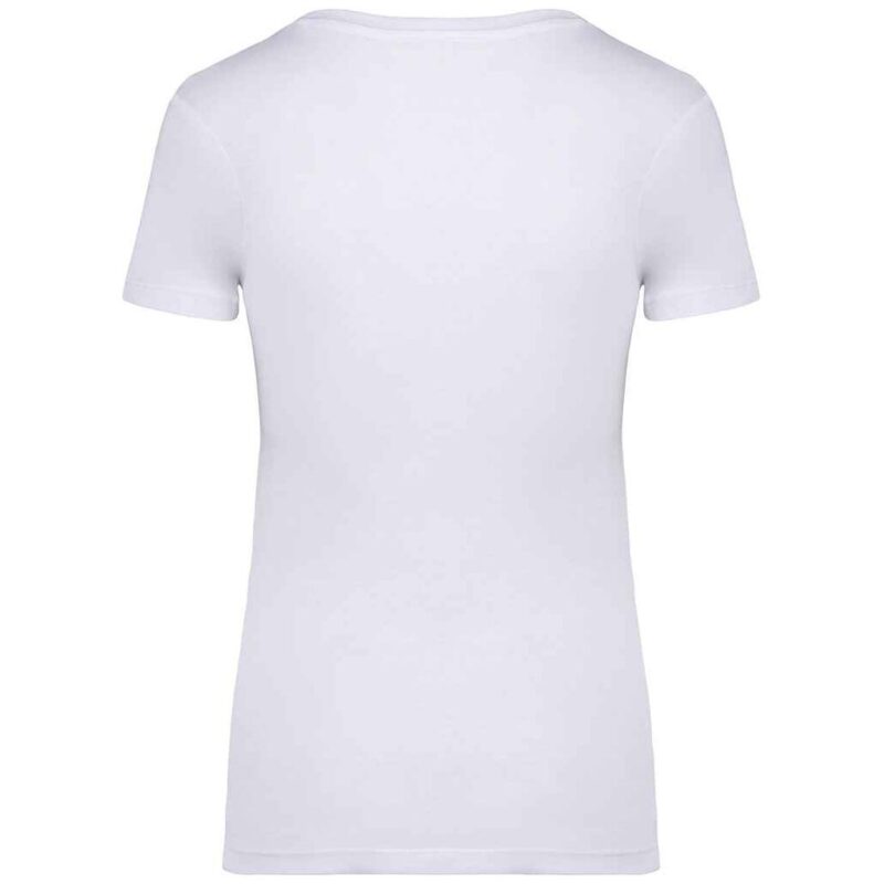 Native Spirit Ladies T-Shirt