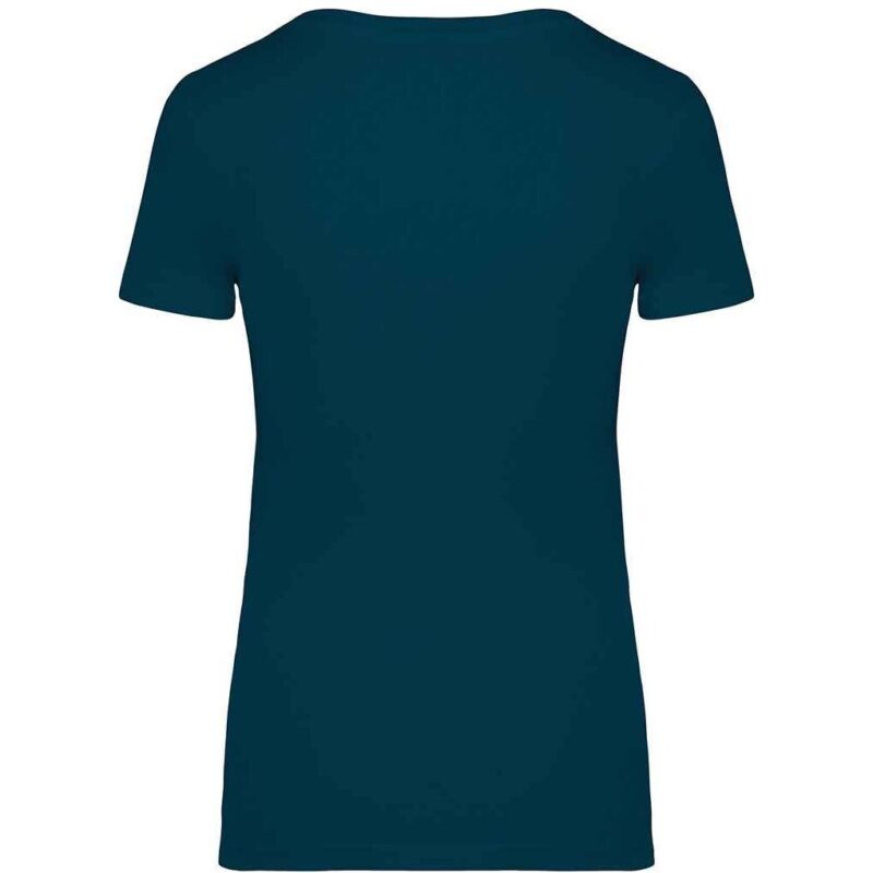 Native Spirit Ladies T-Shirt