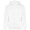 Arctic White