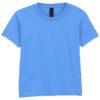 Carolina Blue