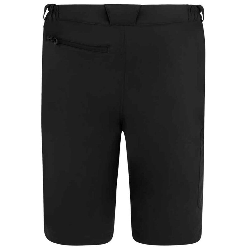 Regatta Prolite Stretch Shorts