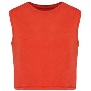 Native Spirit Ladies Cropped Tank Top