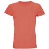 Pop Orange