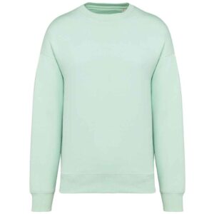 Native Spirit Unisex Oversized Sweatshirt