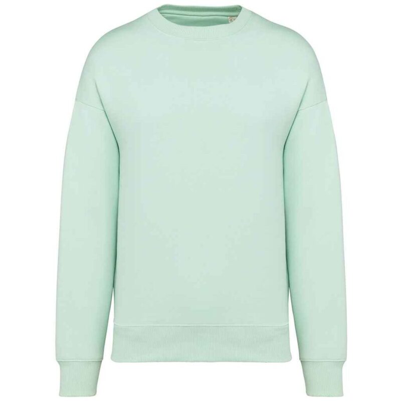 Native Spirit Unisex Oversized Sweatshirt