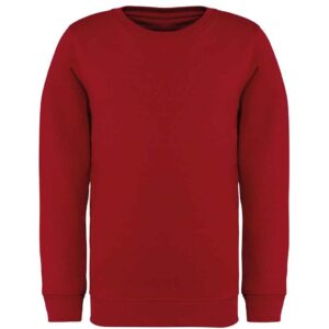 Native Spirit Kids Crew Neck Sweatshirt