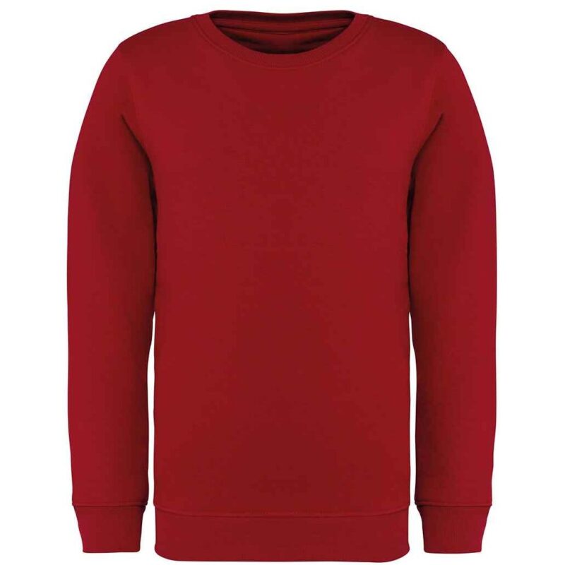 Native Spirit Kids Crew Neck Sweatshirt