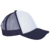 White/French Navy