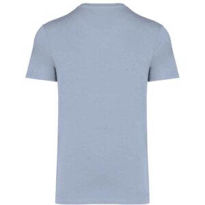 Native Spirit Unisex Heavyweight T-Shirt