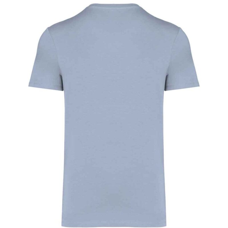 Native Spirit Unisex Heavyweight T-Shirt