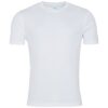 Arctic White