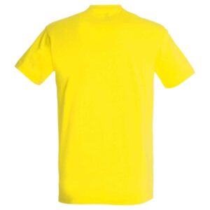 SOL'S Imperial Heavy T-Shirt