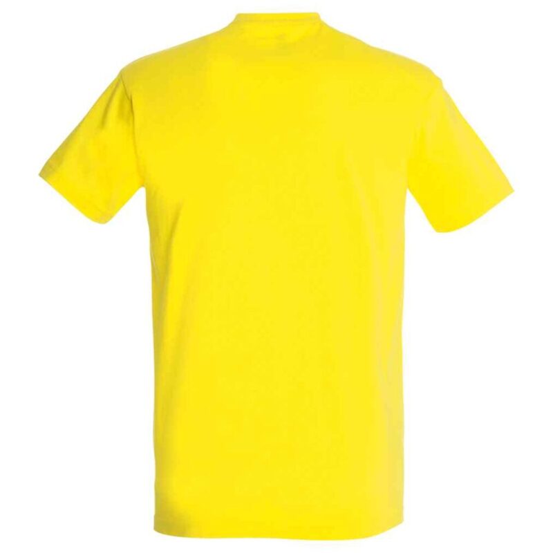 SOL'S Imperial Heavy T-Shirt
