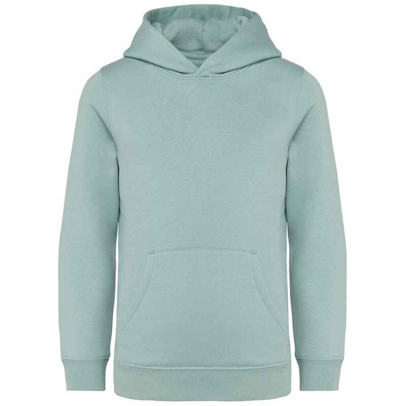 Native Spirit Kids Hooded Sweatshirt