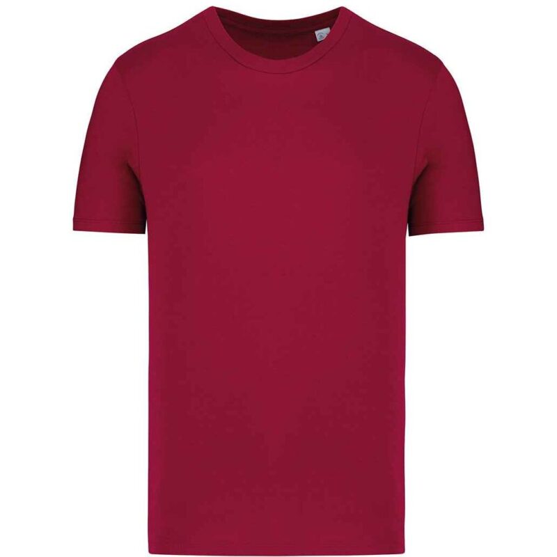 Native Spirit Unisex T-Shirt