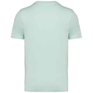 Native Spirit Unisex Heavyweight T-Shirt