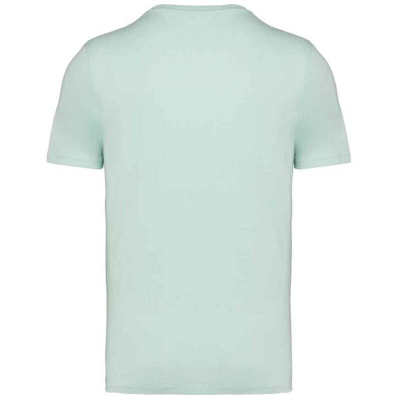 Native Spirit Unisex Heavyweight T-Shirt