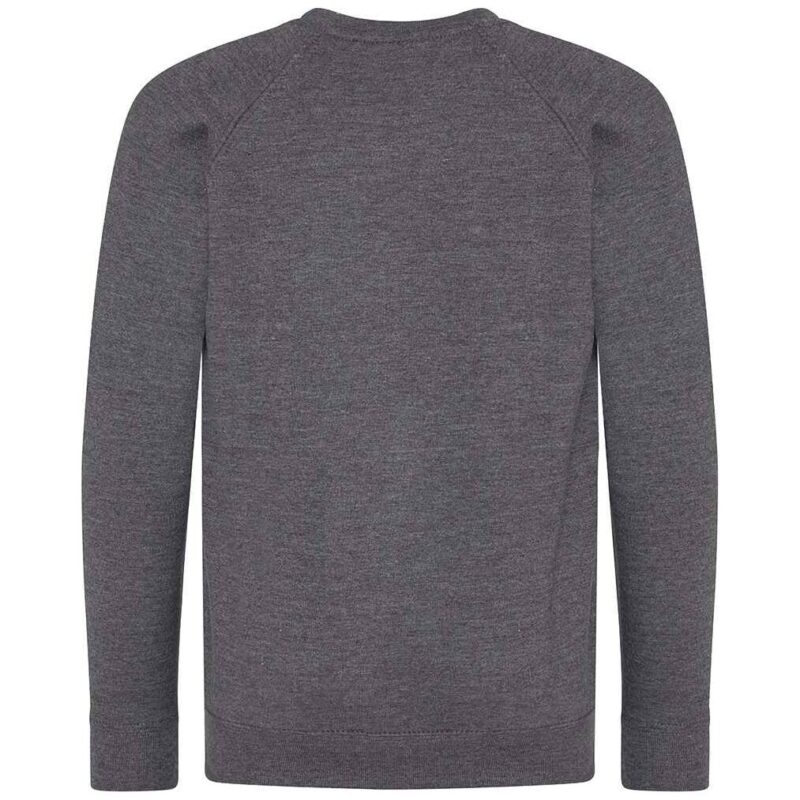 AWDis Academy Kids Raglan Sweatshirt