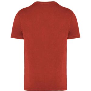 Native Spirit Unisex Faded T-Shirt