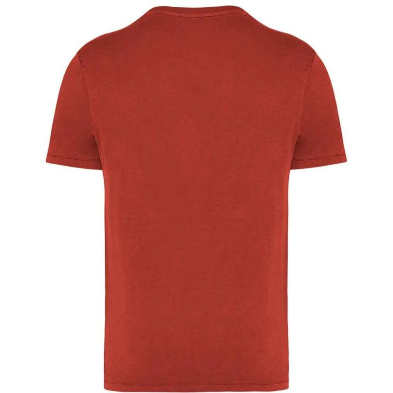 Native Spirit Unisex Faded T-Shirt