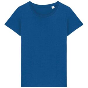 Native Spirit Ladies T-Shirt