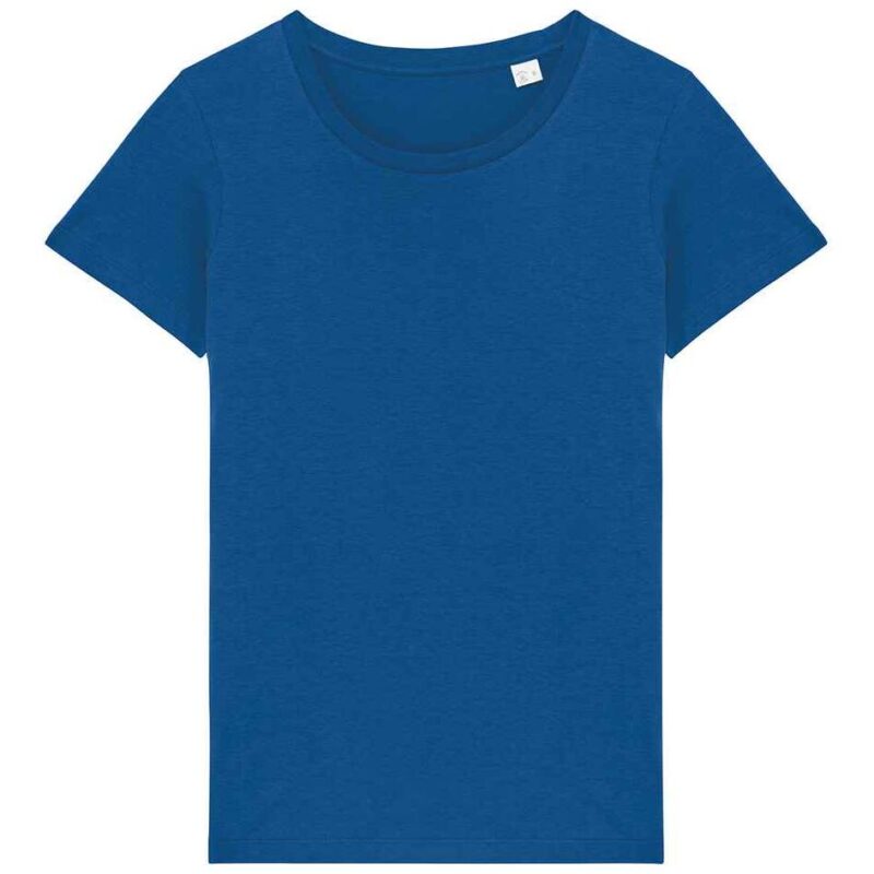 Native Spirit Ladies T-Shirt