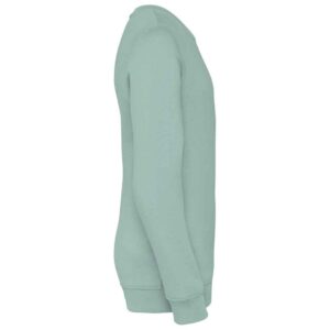 Native Spirit Kids Crew Neck Sweatshirt