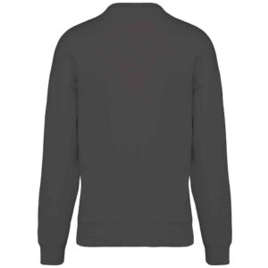 Native Spirit Unisex Oversized Sweatshirt