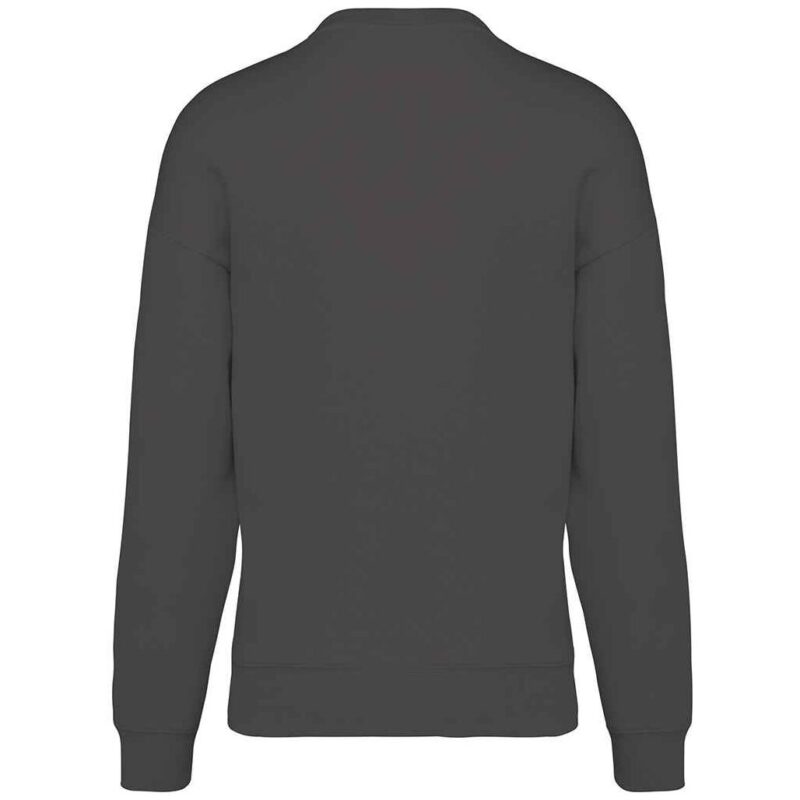 Native Spirit Unisex Oversized Sweatshirt