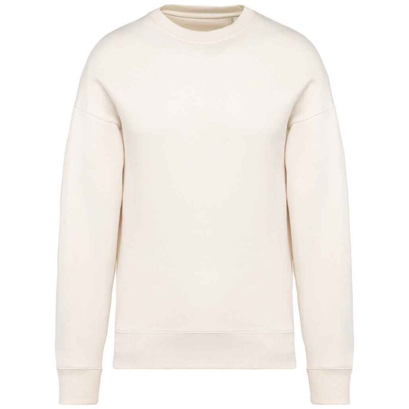 Native Spirit Unisex Oversized Sweatshirt