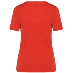 Native Spirit Ladies Faded T-Shirt