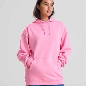 AWDis College Hoodie
