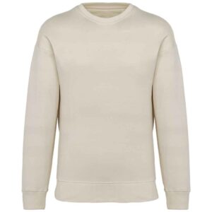 Native Spirit Unisex Oversized Sweatshirt