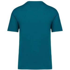 Native Spirit Unisex Oversized T-Shirt