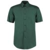 Bottle Green