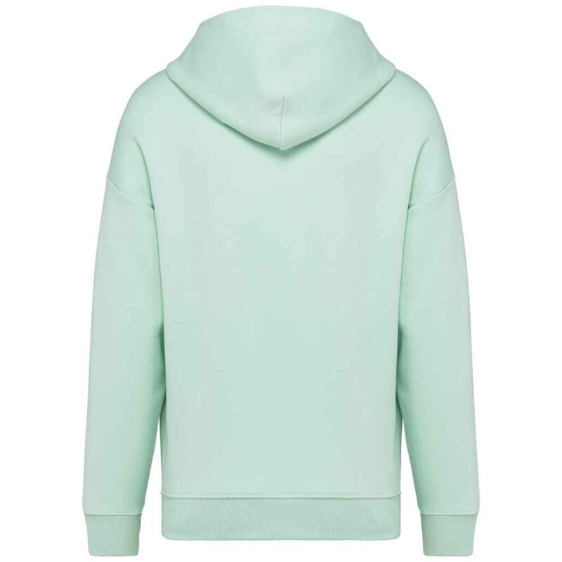 Native Spirit Unisex Oversized Hoodie