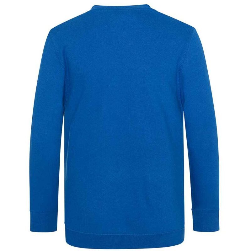 AWDis Academy Kids V Neck Sweatshirt