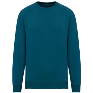 Native Spirit Unisex Oversized Sweatshirt