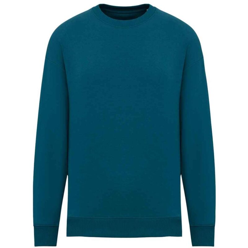 Native Spirit Unisex Oversized Sweatshirt