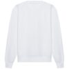 Arctic White