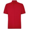 Cardinal Red