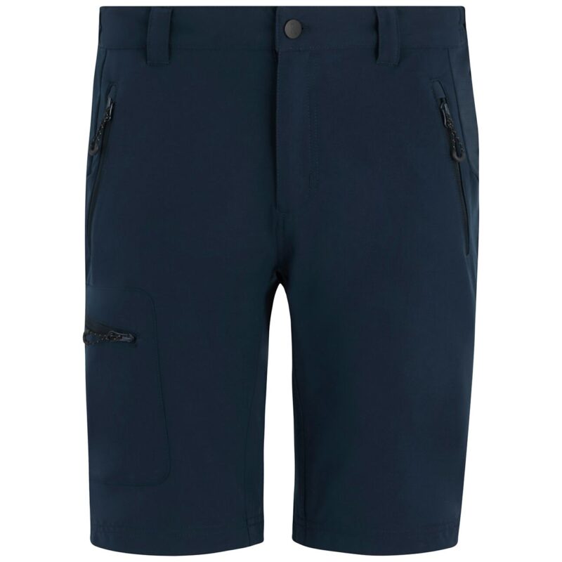 Regatta Prolite Stretch Shorts