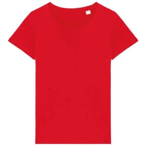 Native Spirit Ladies T-Shirt