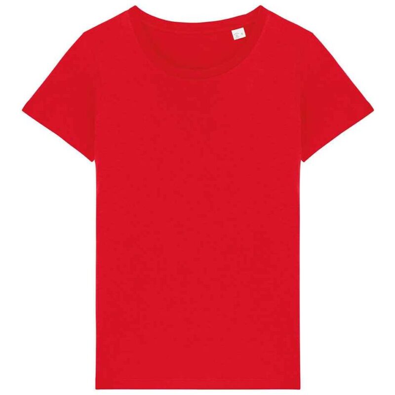 Native Spirit Ladies T-Shirt