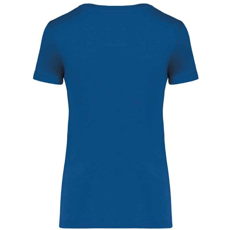 Native Spirit Ladies T-Shirt