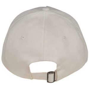Native Spirit 5 Panel Cap
