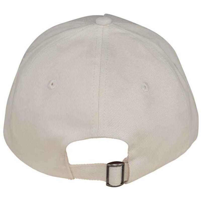Native Spirit 5 Panel Cap