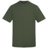Earthy Green