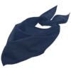 French Navy